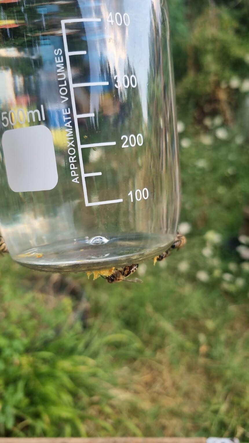 Прозрачен съд с вода и пчели по него, до кошера